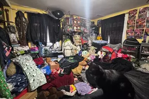 253 Crystal St, North Arlington, NJ 07031 - Photo 32