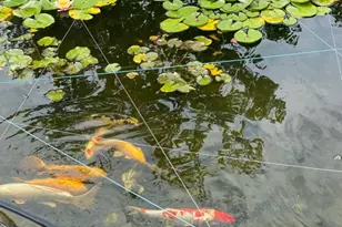 57 Briarwood Dr, Warren Township, NJ 07059 - Photo 44