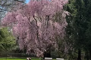 447 Rockaway Valley Rd, Boonton Township, NJ 07005 - Photo 18