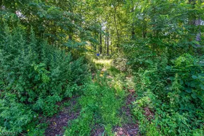 30 & 31 E Shore Culver Rd, Frankford Township, NJ 07826 - Photo 16