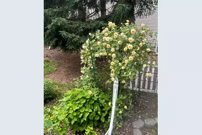 237 Tabor Rd, Morris Plains, NJ 07950 - Photo 34