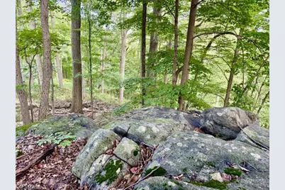 122 Forest Dr, Lebanon Township, NJ 08826 - Photo 32