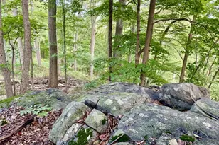 122 Forest Dr, Lebanon Township, NJ 08826 - Photo 32