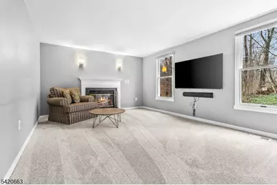 382 Mine Rd, Bethlehem Township, NJ 08802 - Photo 10