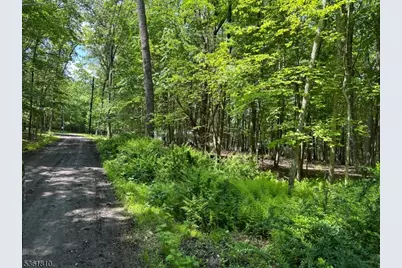 0 Devita Rd, Sandyston Township, NJ 07826 - Photo 4