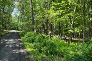 0 Devita Rd, Sandyston Township, NJ 07826 - Photo 4