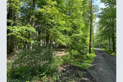 0 Devita Rd, Sandyston Township, NJ 07826 - Photo 1