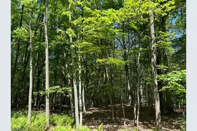 0 Devita Rd, Sandyston Township, NJ 07826 - Photo 2