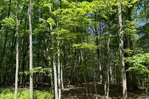 0 Devita Rd, Sandyston Township, NJ 07826 - Photo 2