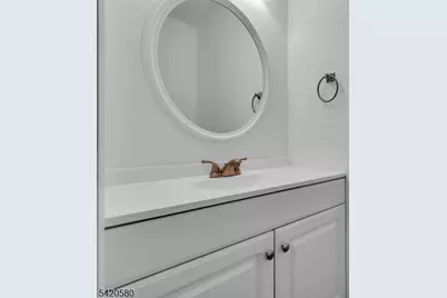 68 Chestnut Ct, Hillsborough Township, NJ 08844 - Photo 24