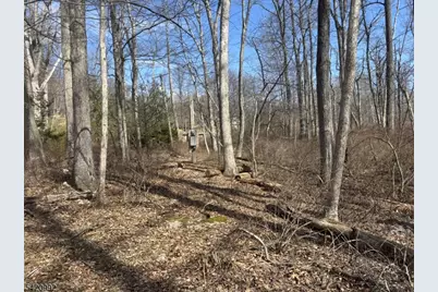 25 Red Mill Rd, Lebanon Township, NJ 08826 - Photo 8