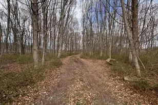 000 S 4Bridges Rd, Washington Township, NJ 07930 - Photo 1