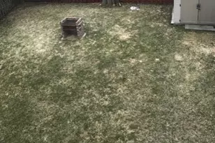 3 William St, Montclair, NJ 07042 - Photo 18