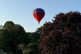 579 Goritz Rd, Alexandria Township, NJ 08802 - Photo 50