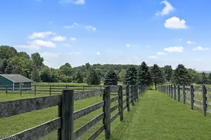 579 Goritz Rd, Alexandria Township, NJ 08802 - Photo 48