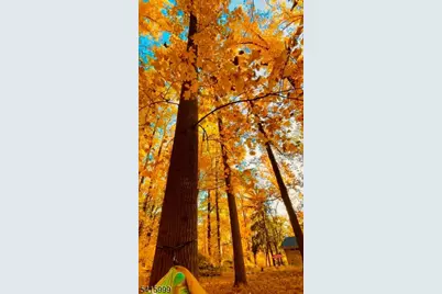 95A Dreahook Rd, Readington, NJ 08833 - Photo 28