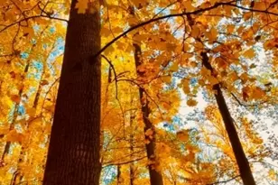 95 A Dreahook Rd, Readington, NJ 08833 - Photo 28