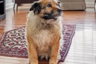 625 Heath Ct, Lambertville, NJ 08530 - Photo 38