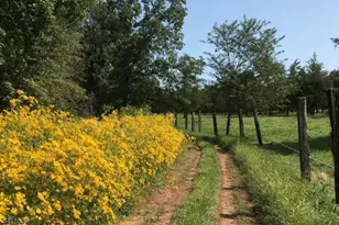 1015 Cherry Hill Rd, Montgomery Township, NJ 08540 - Photo 24