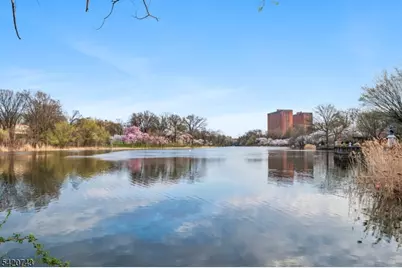 375 Mt Prospect Ave #6DW, Newark, NJ 07104 - Photo 30