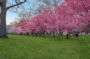 375 Mt Prospect Ave, Newark, NJ 07104 - Photo 34