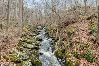 908 Ravine Road, Lebanon Township, NJ 07830 - Photo 50