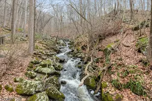 908 Ravine Rd, Lebanon Township, NJ 07830 - Photo 50