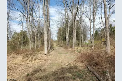 54 Lincoln Laurel Rd, Frelinghuysen Township, NJ 07825 - Photo 26