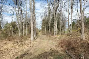 54 Lincoln Laurel Rd, Frelinghuysen Township, NJ 07825 - Photo 26