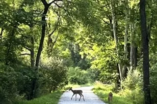 24 W Main St, Clinton, NJ 08809 - Photo 30