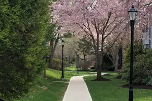 15 Delbarton Ct, Washington Township, NJ 07840 - Photo 40