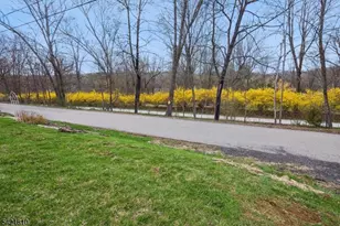 25 Railroad Ave, Califon, NJ 07830 - Photo 2