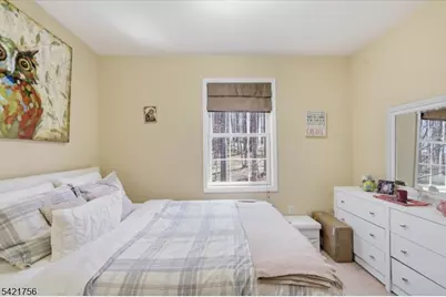 253 Silver Lake Rd, Frelinghuysen Township, NJ 07825 - Photo 20