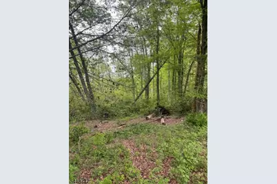 47 Britten Rd, Chatham Township, NJ 07935 - Photo 6