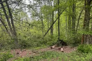 47 Britten Rd, Chatham Township, NJ 07935 - Photo 6