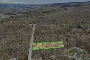 11 Oak Ridge Rd, Montague, NJ 07827 - Photo 14