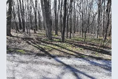 47 Snover Rd, Lafayette, NJ 07848 - Photo 30