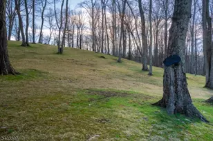 30 Buttzville Rd, White Township, NJ 07863 - Photo 6