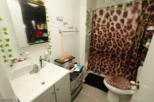 3 Laurel Ave, Maplewood, NJ 07040 - Photo 16