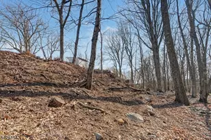 10 Berton Rd, Boonton Township, NJ 07005 - Photo 20