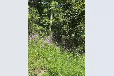 1 Bridge Rd, Knowlton Township, NJ 07832 - Photo 10