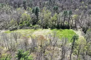 217 River Rd, Montague, NJ 07827 - Photo 6