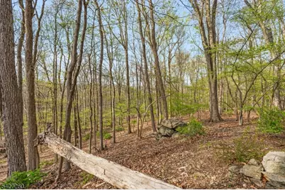 81 Turtleback Road, Washington Township, NJ 07853 - Photo 40