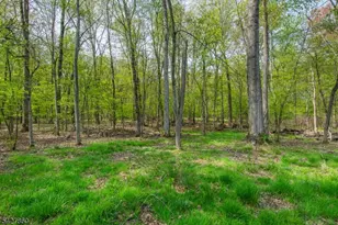 15 Norman Ave, Parsippany, NJ 07034 - Photo 38