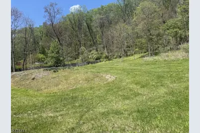 8 Opdykes La, White Township, NJ 07863 - Photo 1