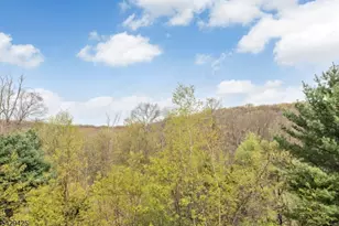 432 Rock Ridge Rd, Jefferson Township, NJ 07849 - Photo 34