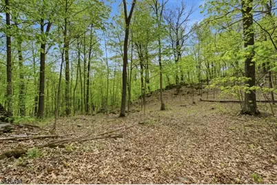 3725 Rt 94, Hardyston Township, NJ 07419 - Photo 20