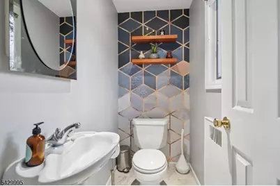 289 Western Dr S., South Orange, NJ 07079 - Photo 20