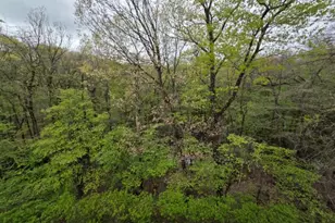 1310 Bush Cir, Rockaway Township, NJ 07866 - Photo 30