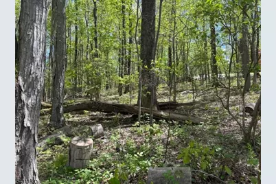 132 Mary Jones Rd, Hampton Township, NJ 07860 - Photo 2